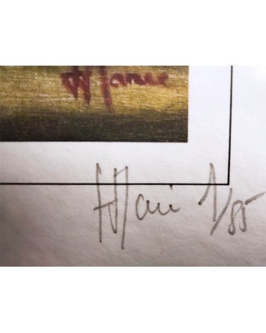 Bournazel, village d'Aveyron 1/85. Edition d'art numérotée avec cadre