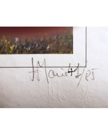 Paysages des Alpilles 41/85. Edition d'art numérotée avec cadre