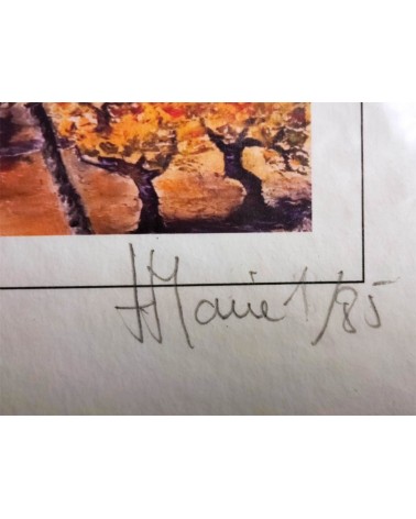 Provence, les Alpilles 1/85. Edition d'art numérotée avec cadre