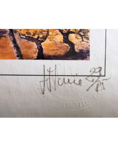 Provence, les Alpilles 29/85. Edition d'art numérotée avec cadre