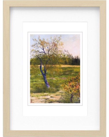 Amandiers dans les Alpilles 23/85. Edition d'art numérotée avec cadre