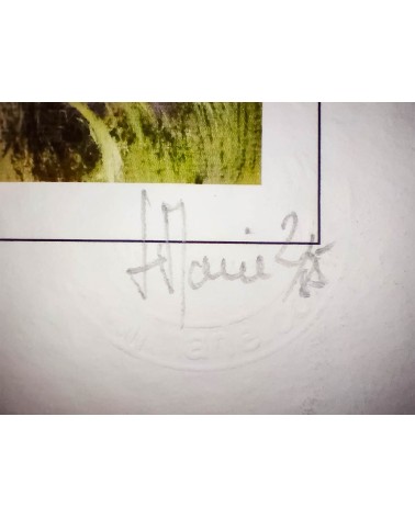 Paysages des Alpilles 2/85. Edition d'art numérotée avec cadre