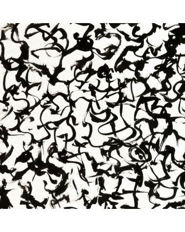 Création S050. Format 30 x 40. Scriptoglyphes de Jean-Jacques Marie