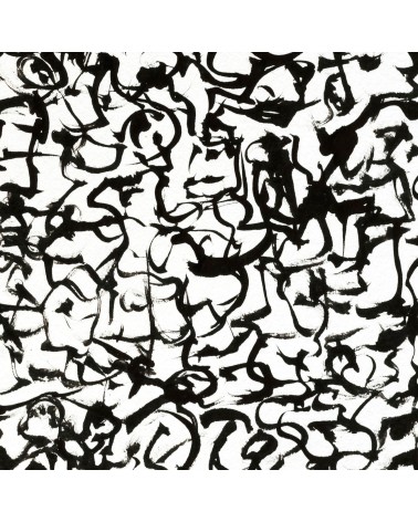 Création S050. Format 30 x 40. Scriptoglyphes de Jean-Jacques Marie