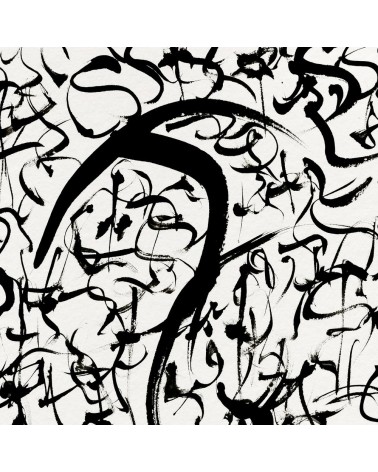 S051 - Flux graphique