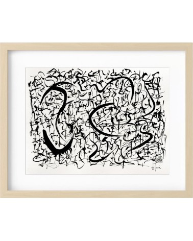 S051 - Flux graphique
