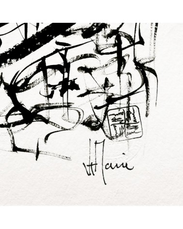 S051 - Flux graphique