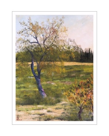 Amandiers dans les Alpilles 4/85. Edition d'art numérotée avec cadre