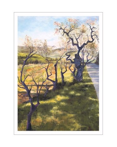 Amandiers dans les Alpilles 18/85. Edition d'art numérotée avec cadre