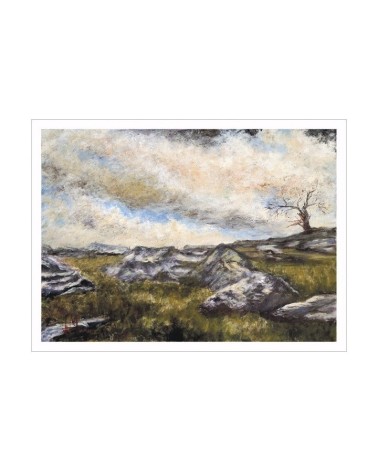 Paysage d'Aveyron 1/85. Edition d'art numérotée avec cadre